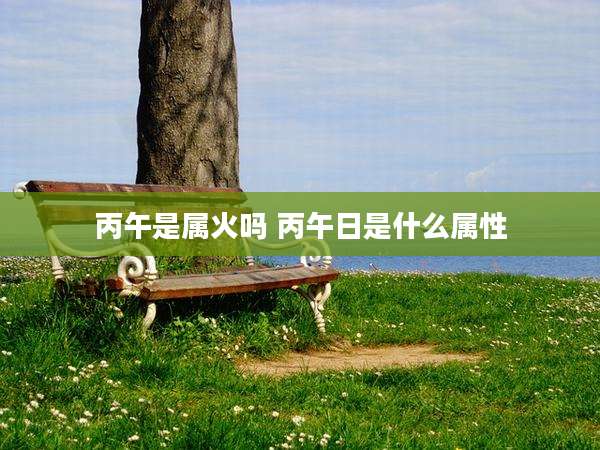 丙午是属火吗 丙午日是什么属性