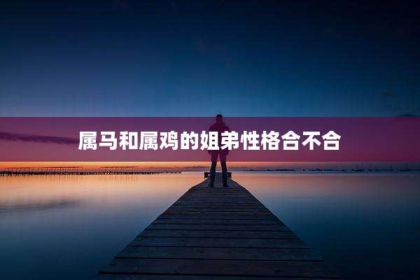 属马和属鸡的姐弟性格合不合