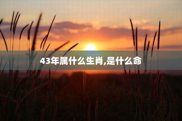 43年属什么生肖,是什么命