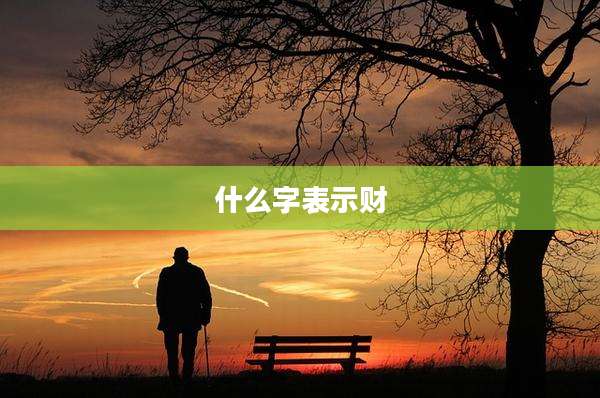 什么字表示财