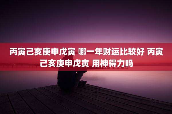 丙寅己亥庚申戊寅 哪一年财运比较好 丙寅己亥庚申戊寅 用神得力吗