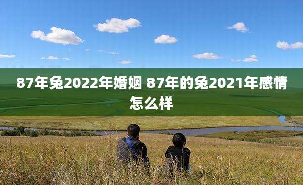 87年兔2022年婚姻 87年的兔2021年感情怎么样