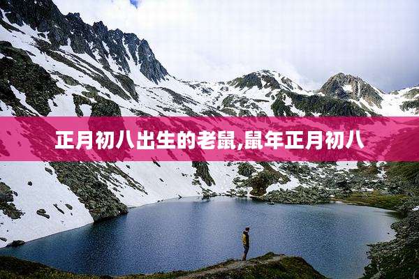 正月初八出生的老鼠,鼠年正月初八