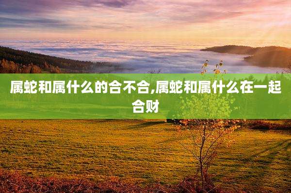 属蛇和属什么的合不合,属蛇和属什么在一起合财