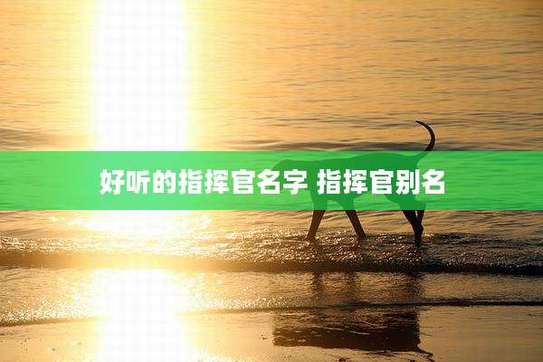 好听的指挥官名字 指挥官别名