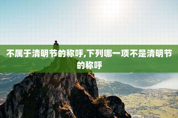不属于清明节的称呼,下列哪一项不是清明节的称呼