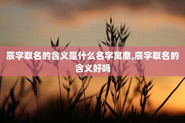 辰字取名的含义是什么名字寓意,辰字取名的含义好吗