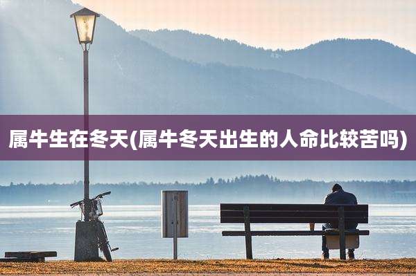 属牛生在冬天(属牛冬天出生的人命比较苦吗)