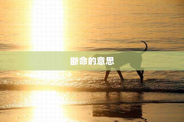 断命的意思
