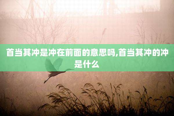 首当其冲是冲在前面的意思吗,首当其冲的冲是什么
