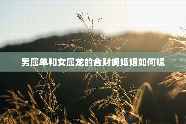 男属羊和女属龙的合财吗婚姻如何呢