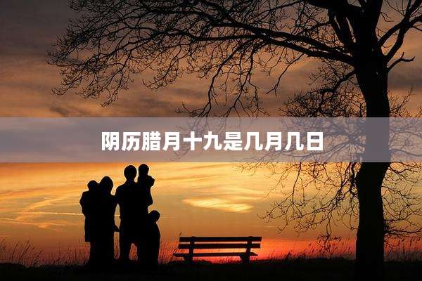 阴历腊月十九是几月几日