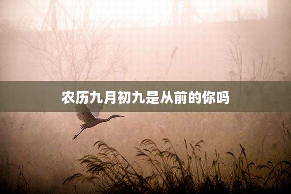 农历九月初九是从前的你吗