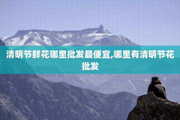 清明节鲜花哪里批发最便宜,哪里有清明节花批发