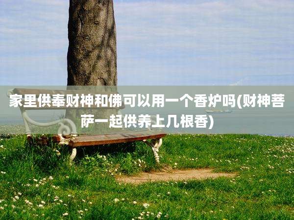 家里供奉财神和佛可以用一个香炉吗(财神菩萨一起供养上几根香)
