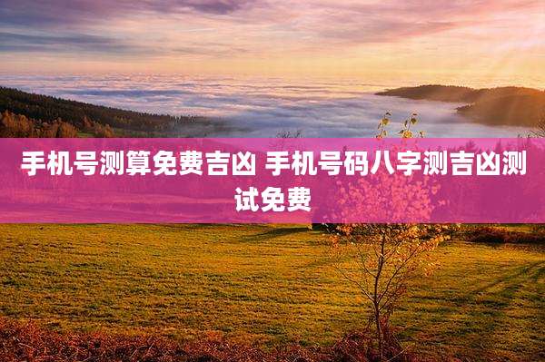 手机号测算免费吉凶 手机号码八字测吉凶测试免费