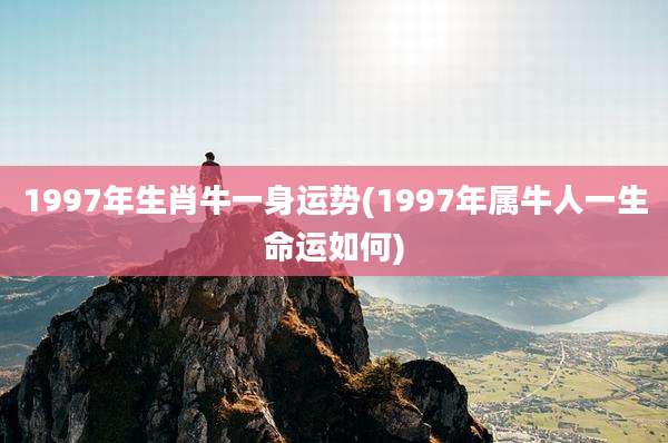 1997年生肖牛一身运势(1997年属牛人一生命运如何)