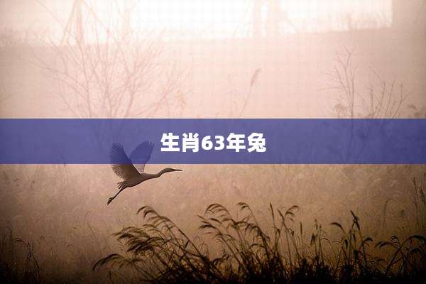 生肖63年兔