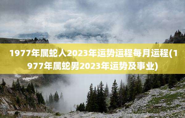 1977年属蛇人2023年运势运程每月运程(1977年属蛇男2023年运势及事业)