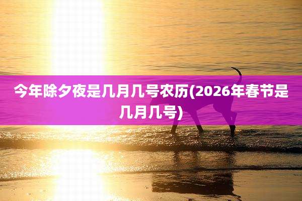 今年除夕夜是几月几号农历(2026年春节是几月几号)