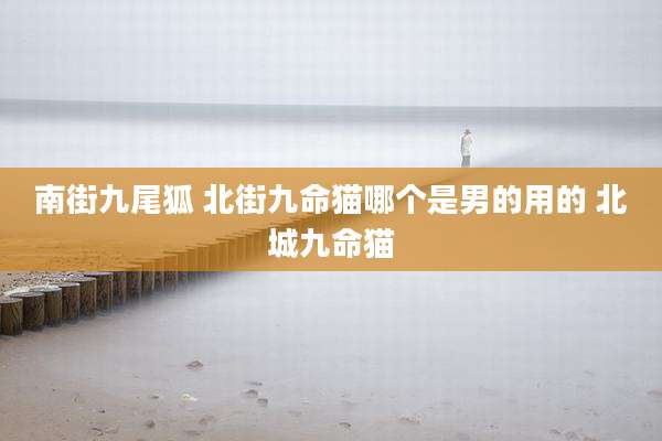 南街九尾狐 北街九命猫哪个是男的用的 北城九命猫