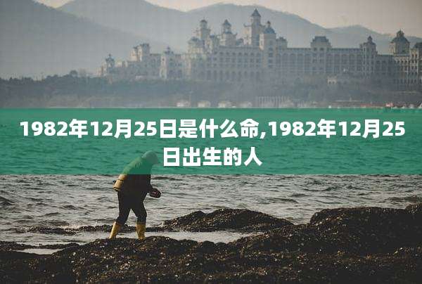 1982年12月25日是什么命,1982年12月25日出生的人