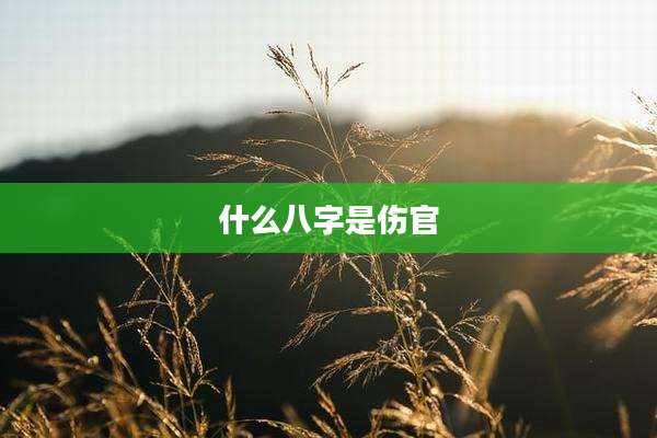 什么八字是伤官
