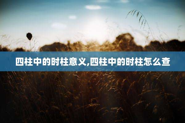 四柱中的时柱意义,四柱中的时柱怎么查