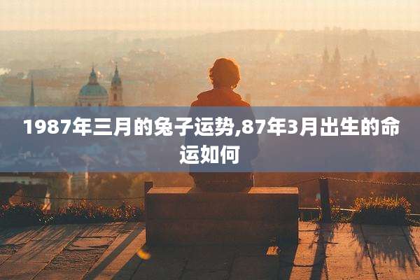1987年三月的兔子运势,87年3月出生的命运如何
