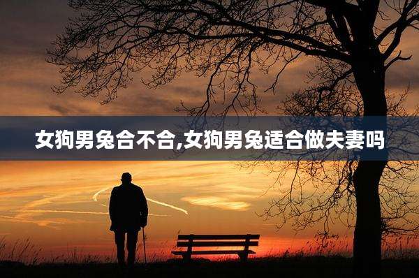 女狗男兔合不合,女狗男兔适合做夫妻吗