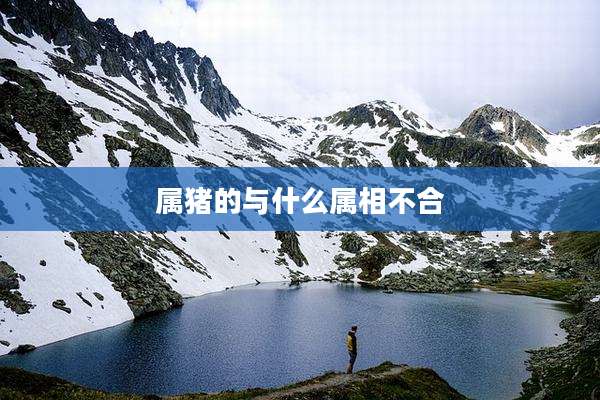 属猪的与什么属相不合
