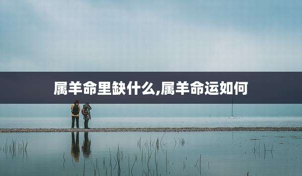 属羊命里缺什么,属羊命运如何