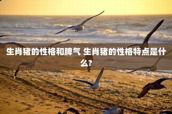 生肖猪的性格和脾气 生肖猪的性格特点是什么?