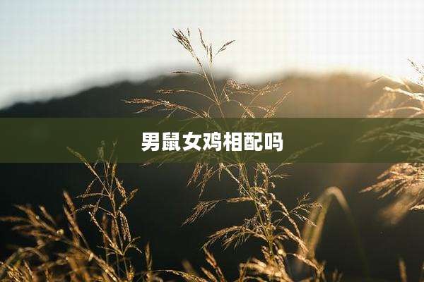 男鼠女鸡相配吗