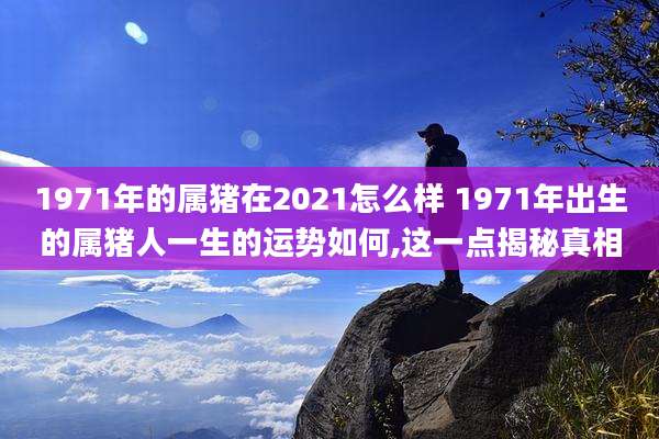 1971年的属猪在2021怎么样 1971年出生的属猪人一生的运势如何,这一点揭秘真相