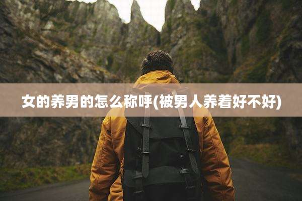 女的养男的怎么称呼(被男人养着好不好)