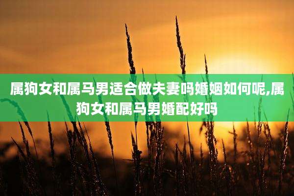 属狗女和属马男适合做夫妻吗婚姻如何呢,属狗女和属马男婚配好吗
