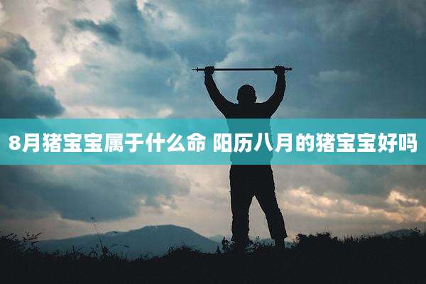 8月猪宝宝属于什么命 阳历八月的猪宝宝好吗