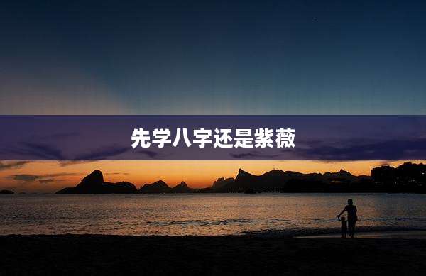 先学八字还是紫薇