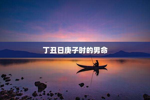 丁丑日庚子时的男命
