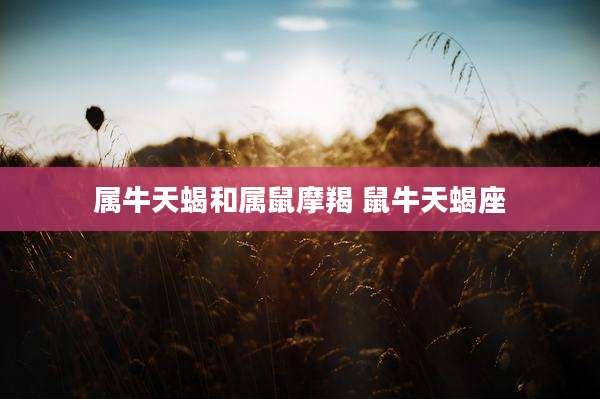 属牛天蝎和属鼠摩羯 鼠牛天蝎座