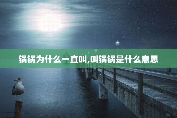 锅锅为什么一直叫,叫锅锅是什么意思