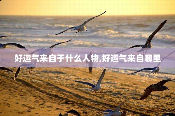 好运气来自于什么人物,好运气来自哪里
