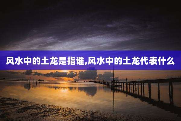 风水中的土龙是指谁,风水中的土龙代表什么