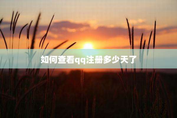 如何查看qq注册多少天了