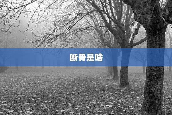 断骨是啥