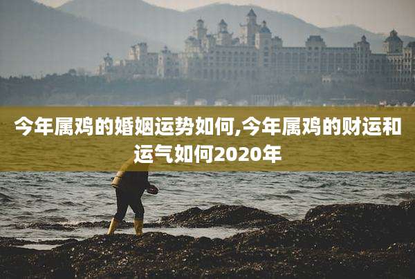 今年属鸡的婚姻运势如何,今年属鸡的财运和运气如何2020年