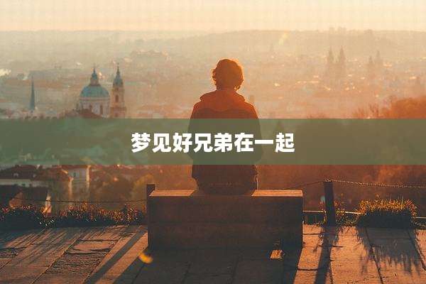 梦见好兄弟在一起