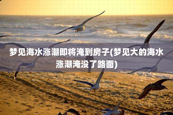 梦见海水涨潮即将淹到房子(梦见大的海水涨潮淹没了路面)