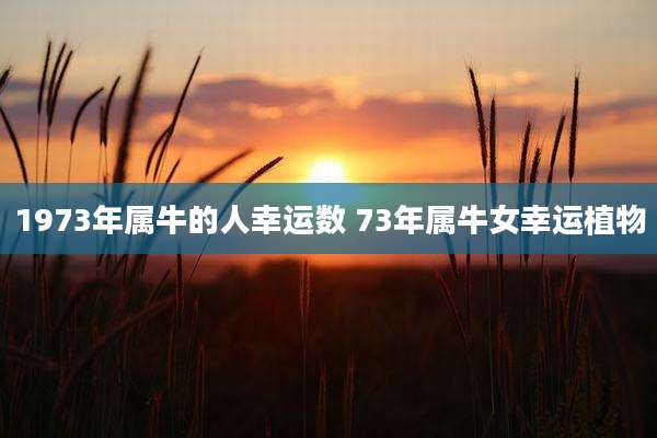 1973年属牛的人幸运数 73年属牛女幸运植物